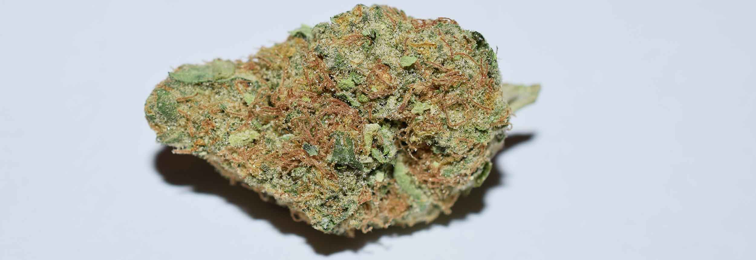 420 day