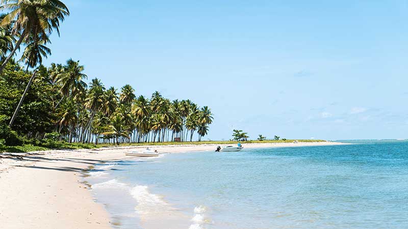 Praia dos Carneiros