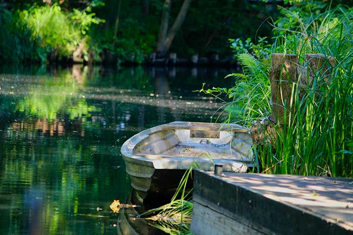 Spreewald & Cannabis Urlaub