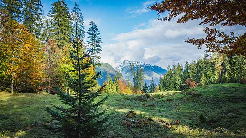 Ruhpolding