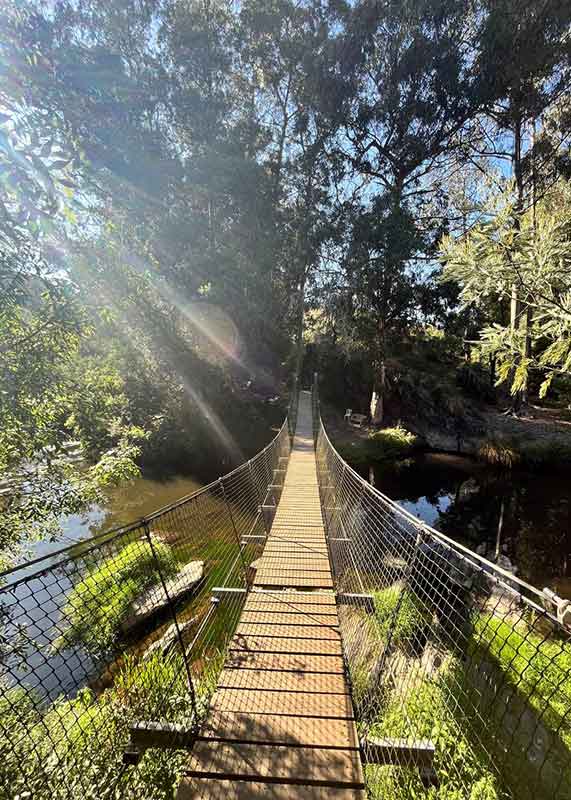 Cannabis Wandern Portugal Valongo