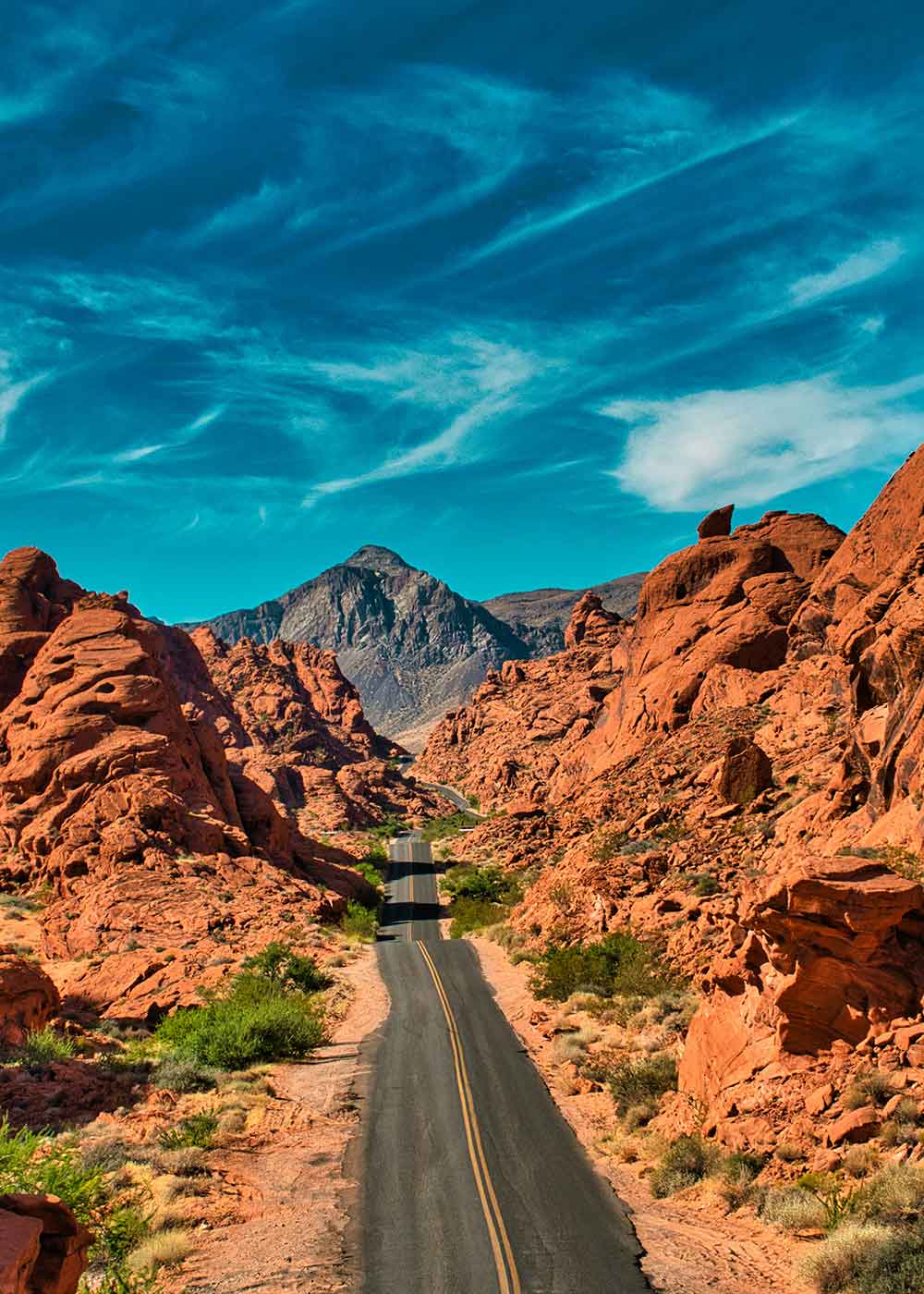 Nevada