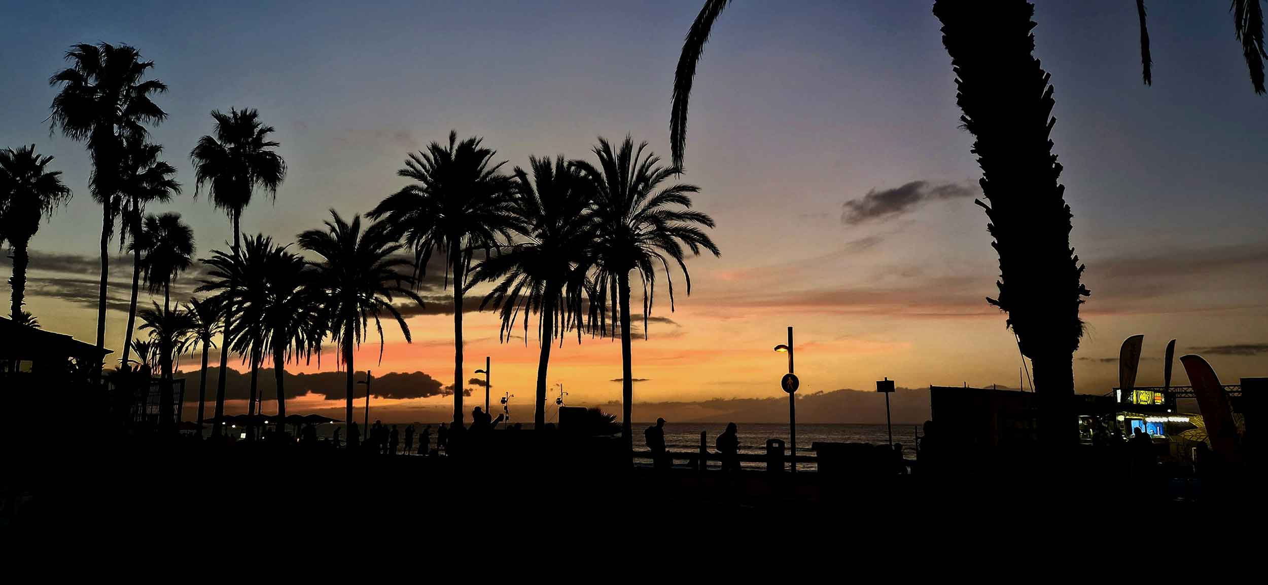 Playa de las Americas nightlife