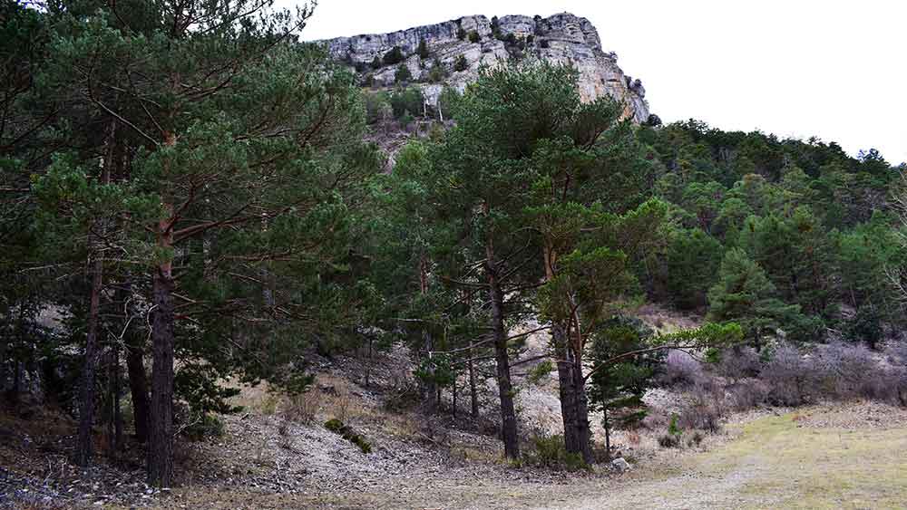 Cascada Batida