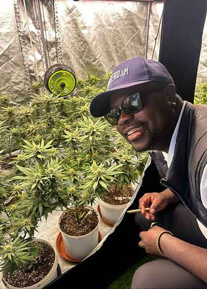 kuda cannabis guide kapstadt