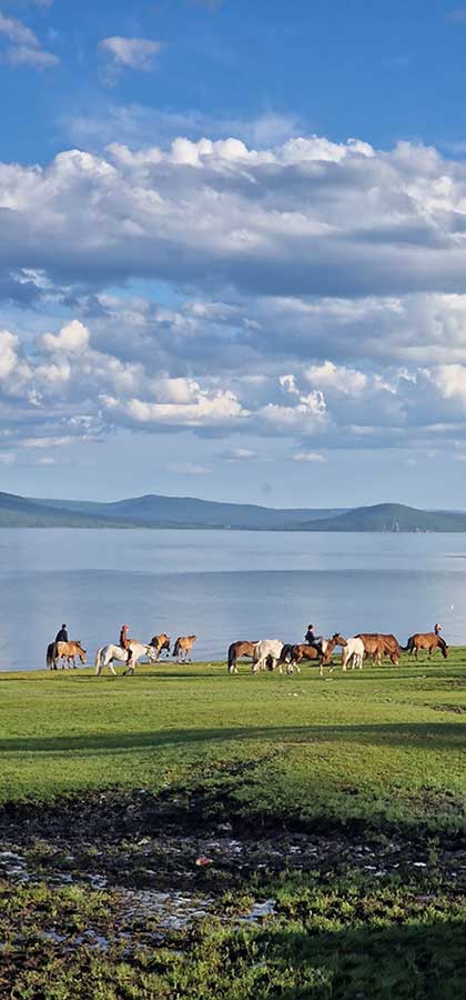 urlaub mongolei