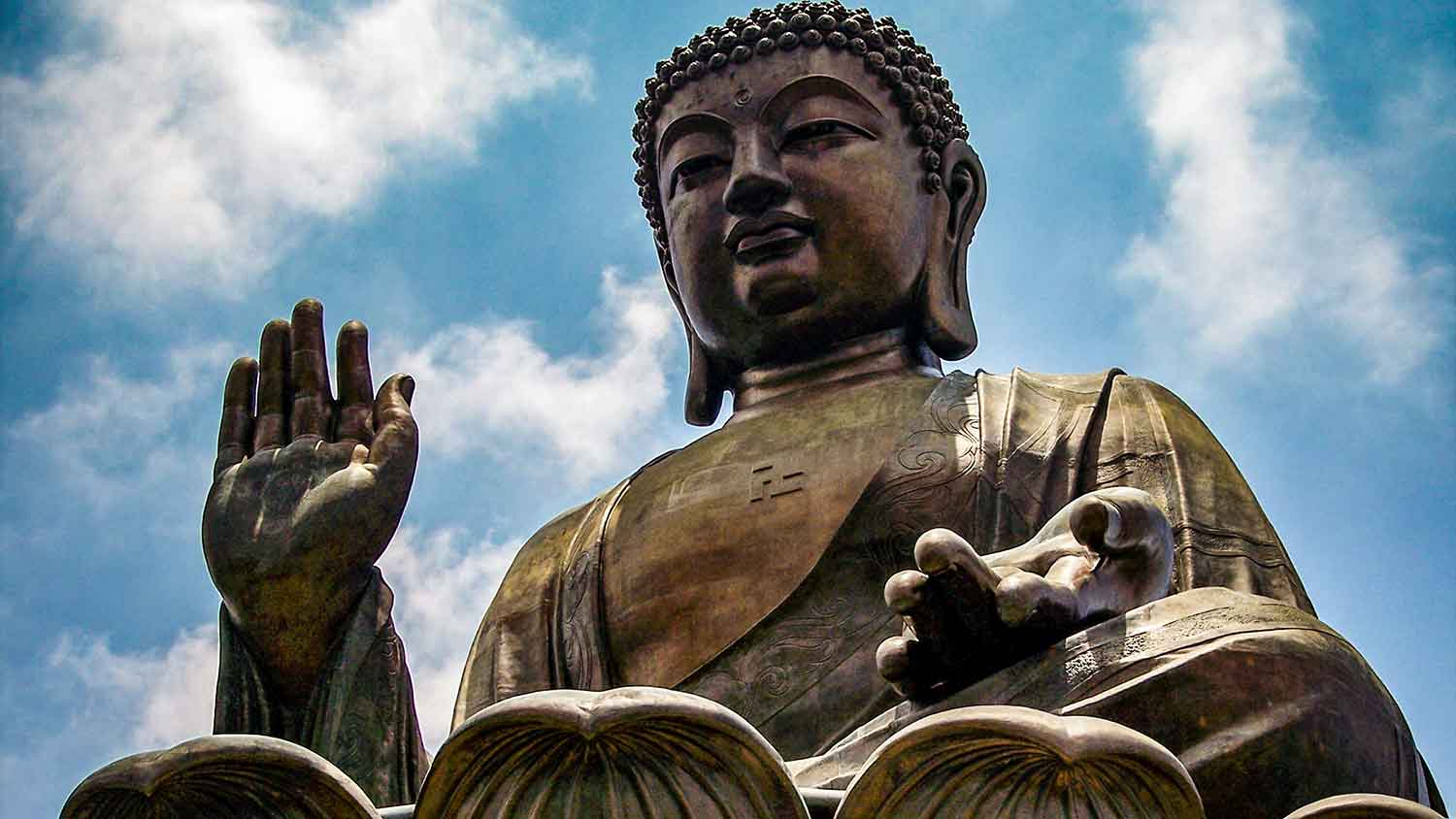 budda cannabis china
