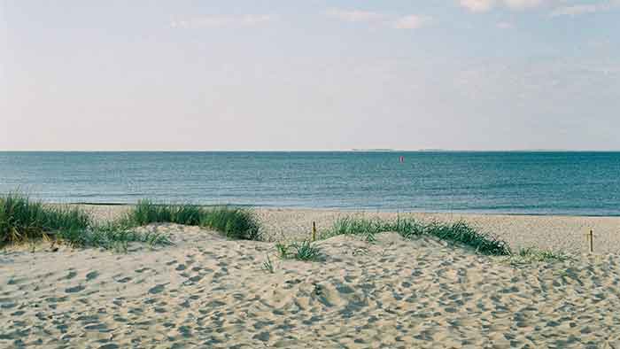 Texel