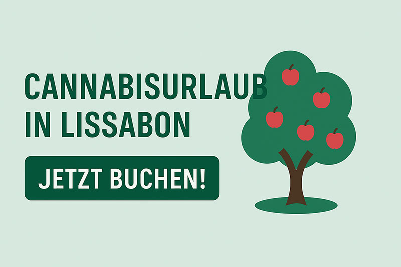 cannabis urlaub in lissabon