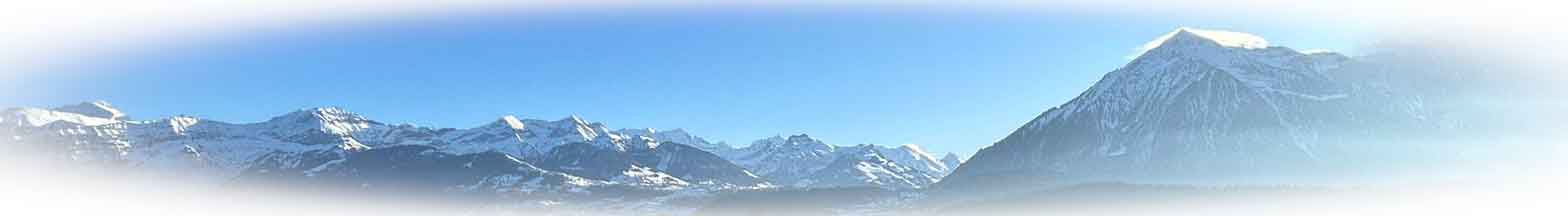 niesen thun