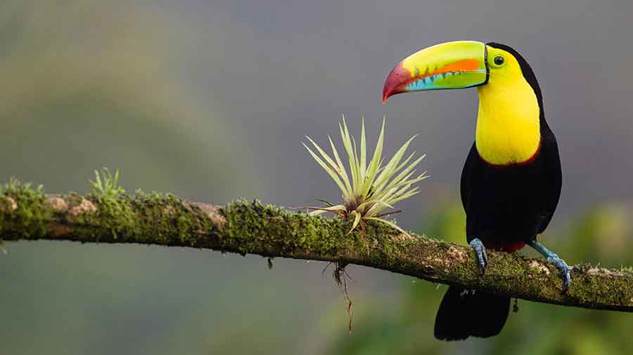 urlaub costa rica