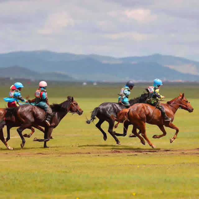 naadam fest mongolei pferderennen