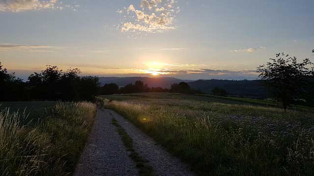 schwarzwald urlaub