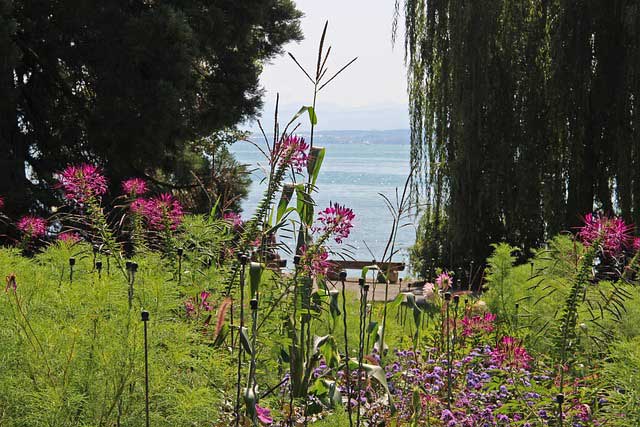 insel mainau im frühling