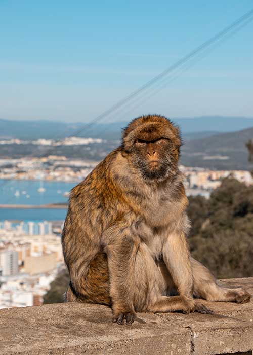 urlaub gibraltar