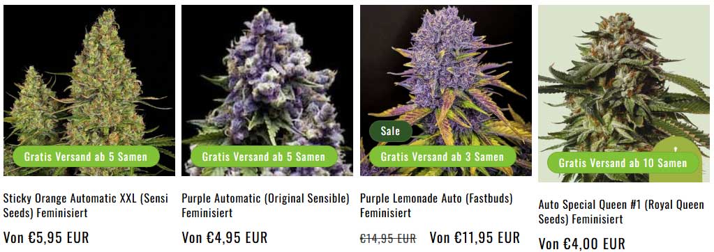 myseeds shop