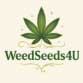 weedseeds4u teneriffa