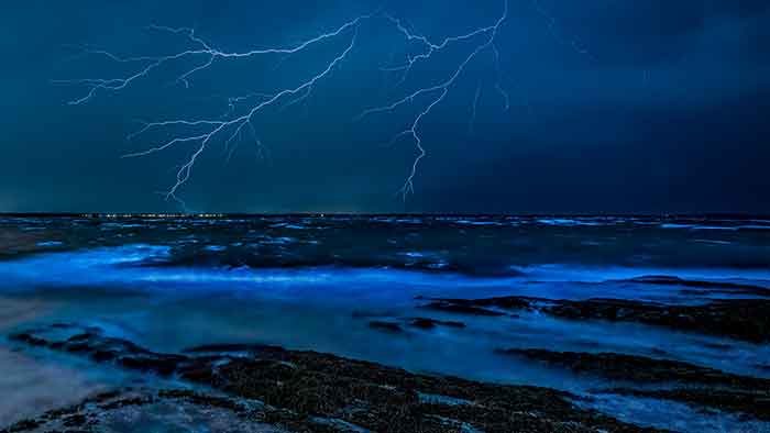 Magische Reiseziele: Biolumineszenz & Cannabis