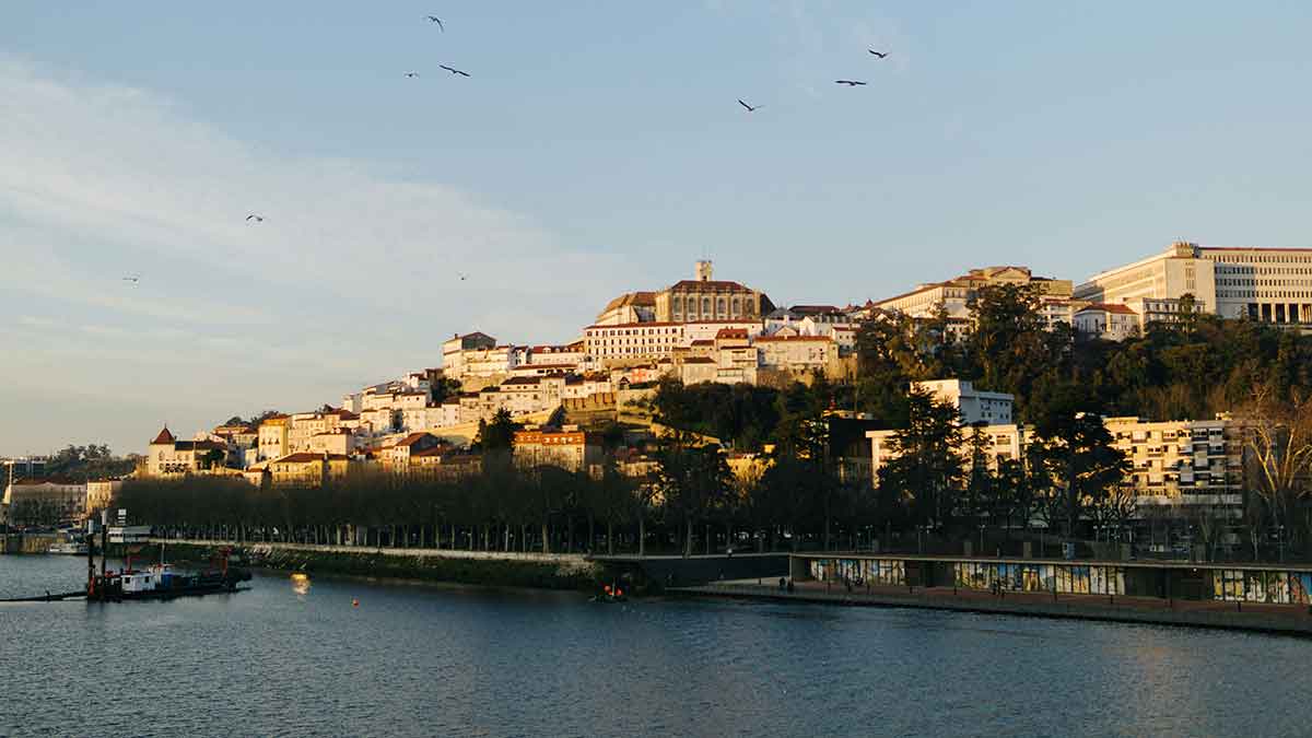 Cannabis-Urlaub in Coimbra, Portugal erleben