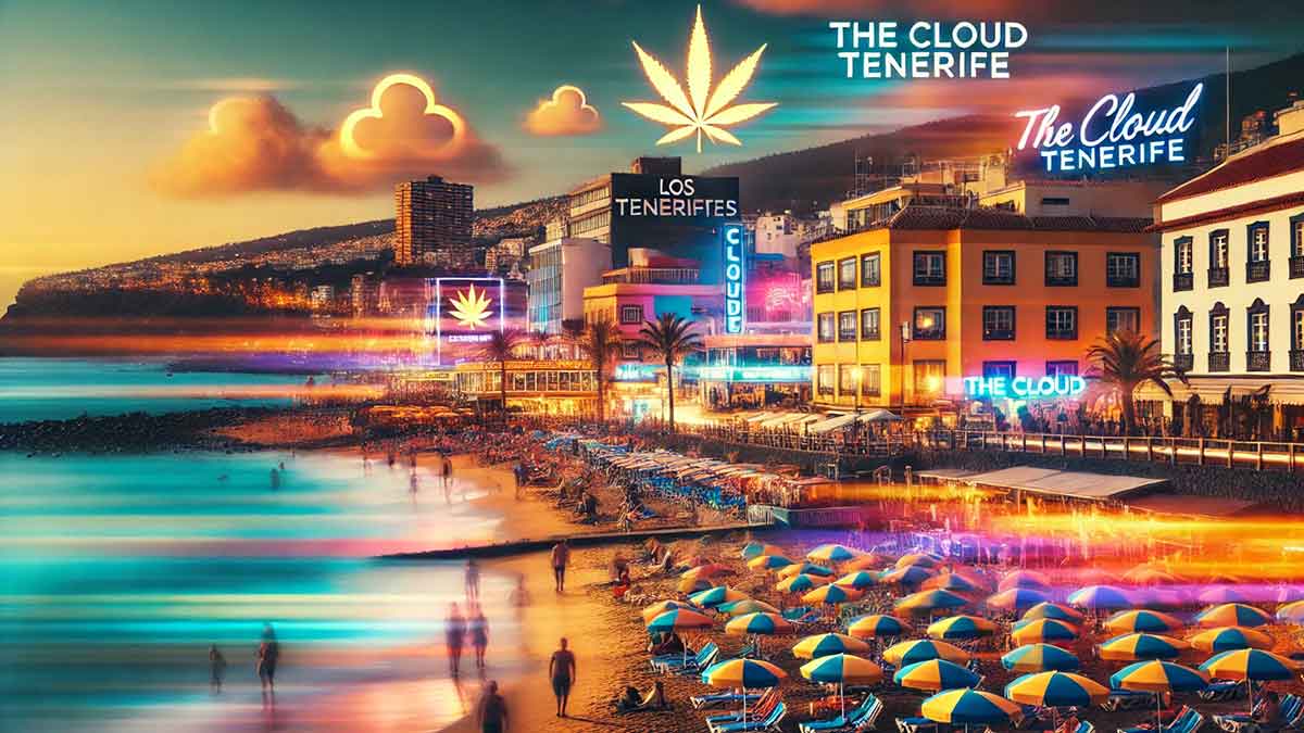 Erleben Sie Teneriffa: Strand, Nachtleben & "The Cloud Tenerife"