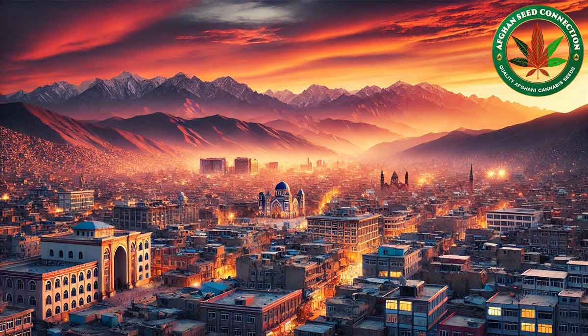Cannabis-Urlaub in Kabul: Ein Fenster in die Seele Afghanistans