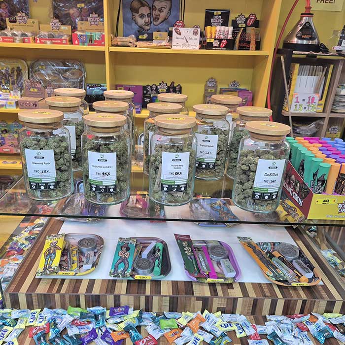 koh samu lion rolling circus cannabis angebote