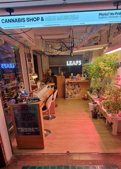 weed city bangkok
