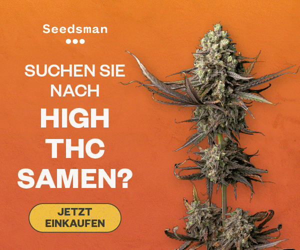 cannabissamen online kaufen - seedsman