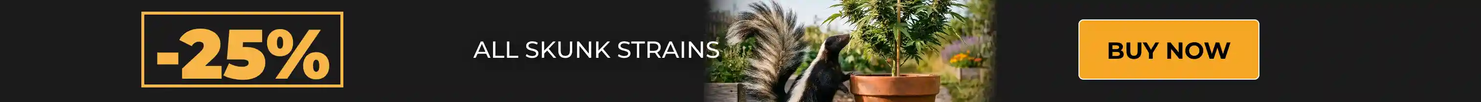 hardy stranis sensi seeds