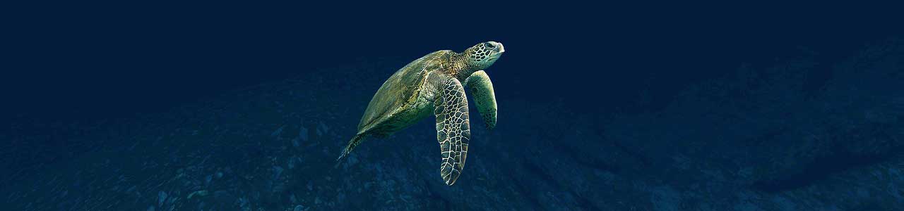 Belize