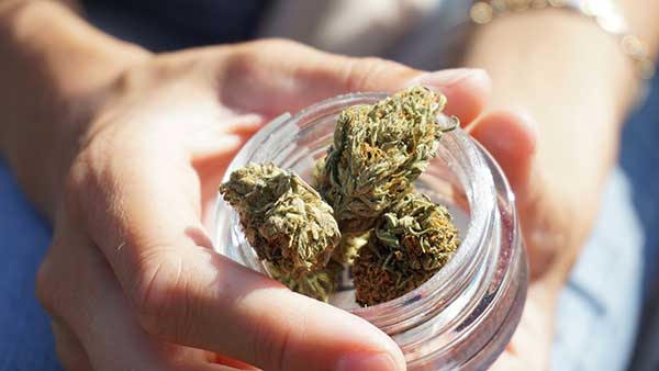 medical cannabis patient