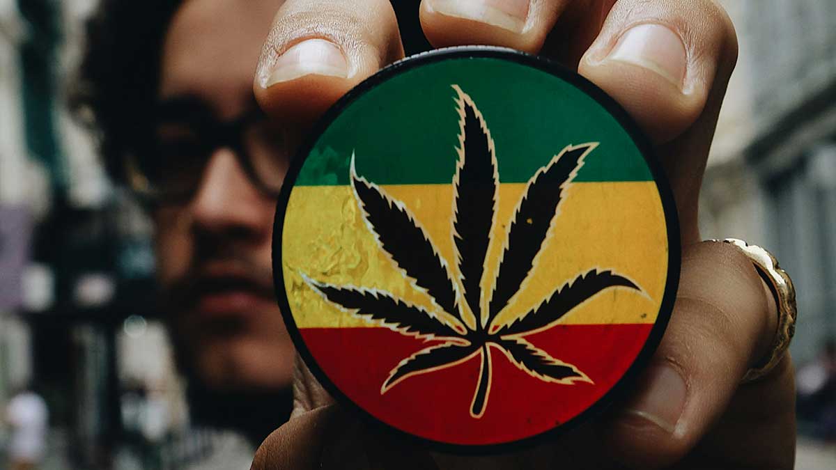 Fachzeitschriften für Cannabis-Interessierte