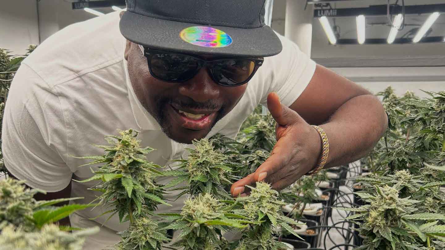 Kapstadt Cannabis Tour mit Guide Kuda erleben 2026