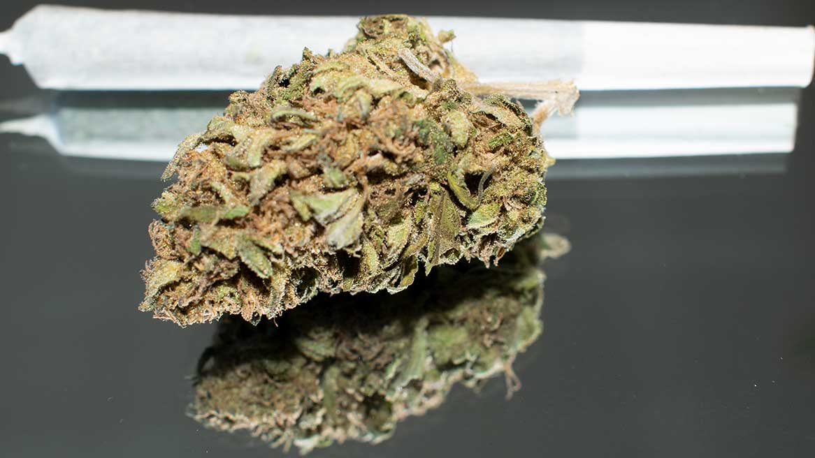 Warum sollte Cannabis legalisiert werden?