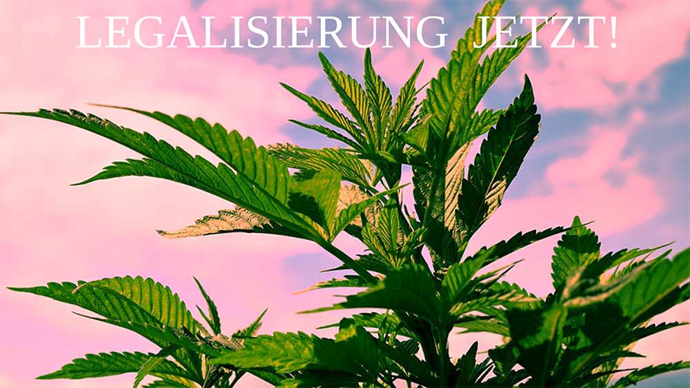 Die Geschichte von Cannabis - eine kurze Darstellung