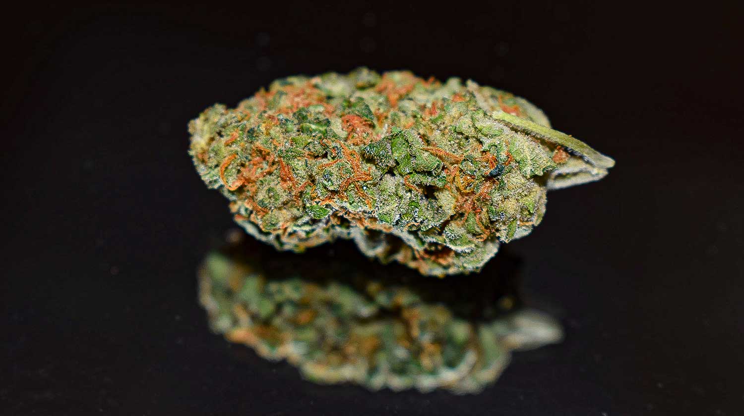 Cannabis frisch halten – Tipps für unterwegs & Reisen