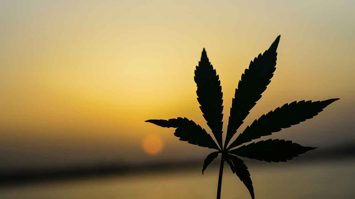 Reisefotografie im Cannabis-Urlaub 2026