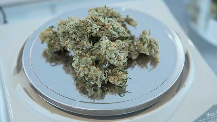 Die besten digitalen Cannabiswaagen