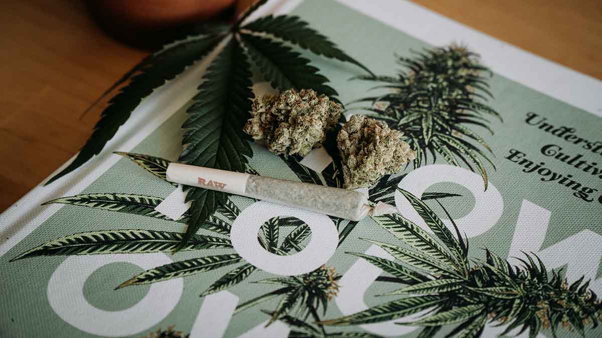 Cannabisfreundliche Städte in den USA