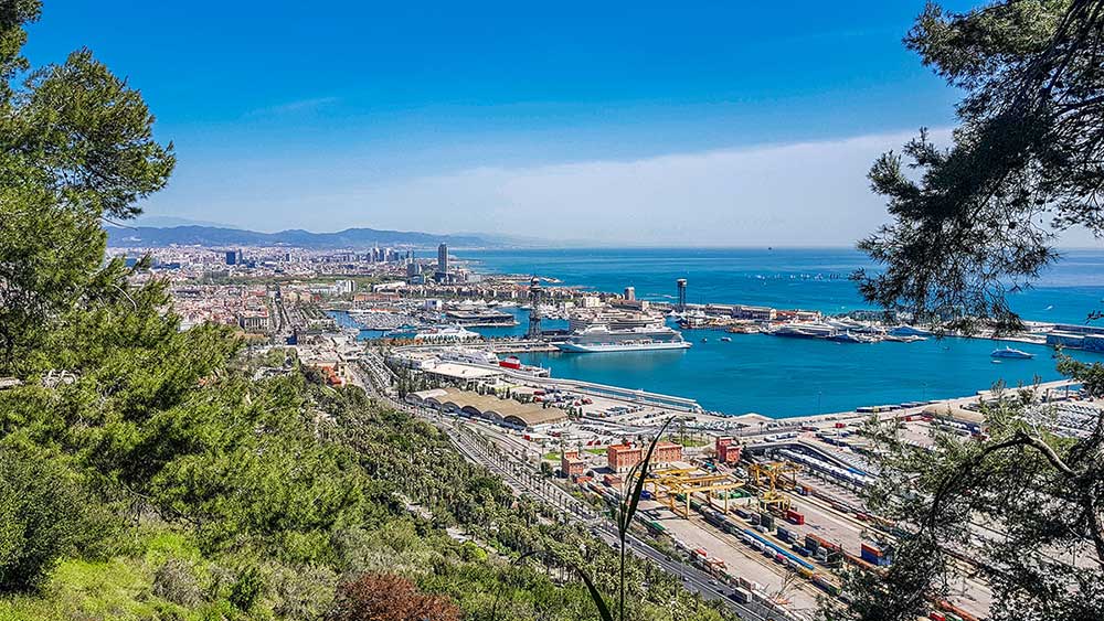 Leitfaden für die Suche nach dem besten Cannabis Social Club in Barcelona