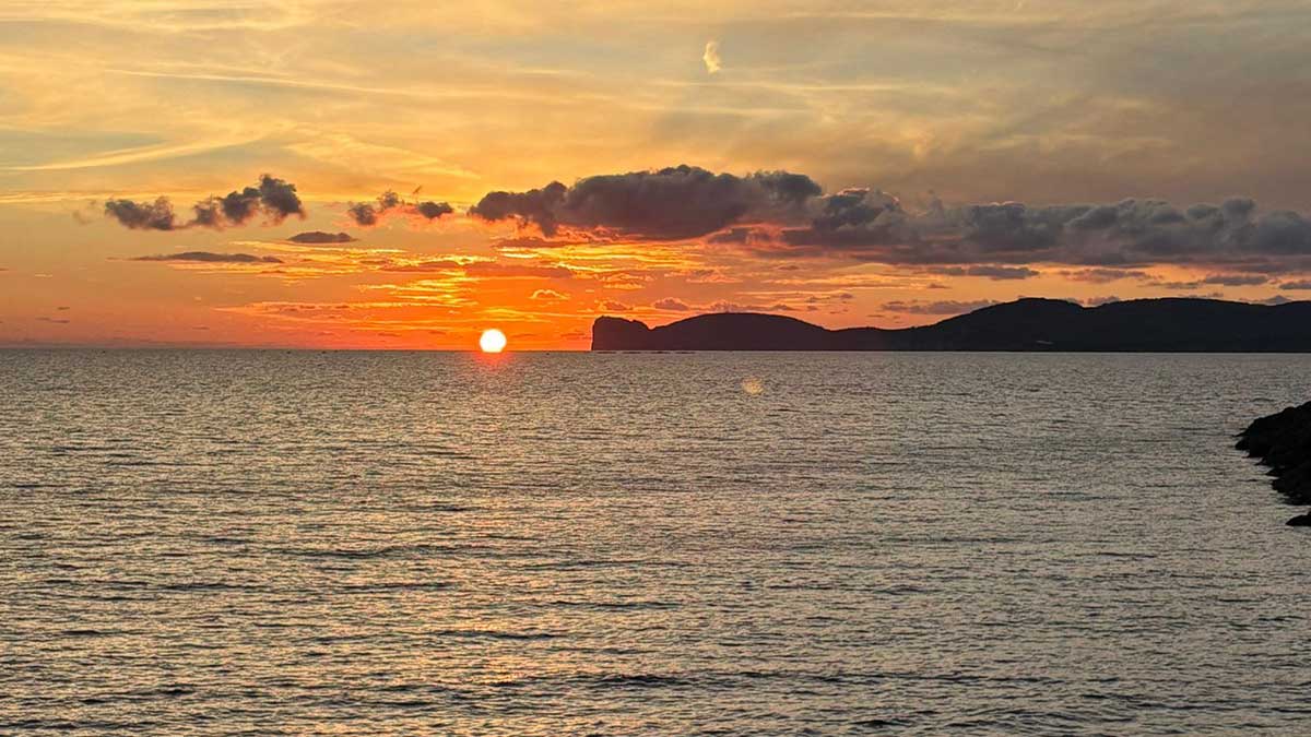 Delfin-Beobachtungen & Cannabis-Urlaub Kanaren