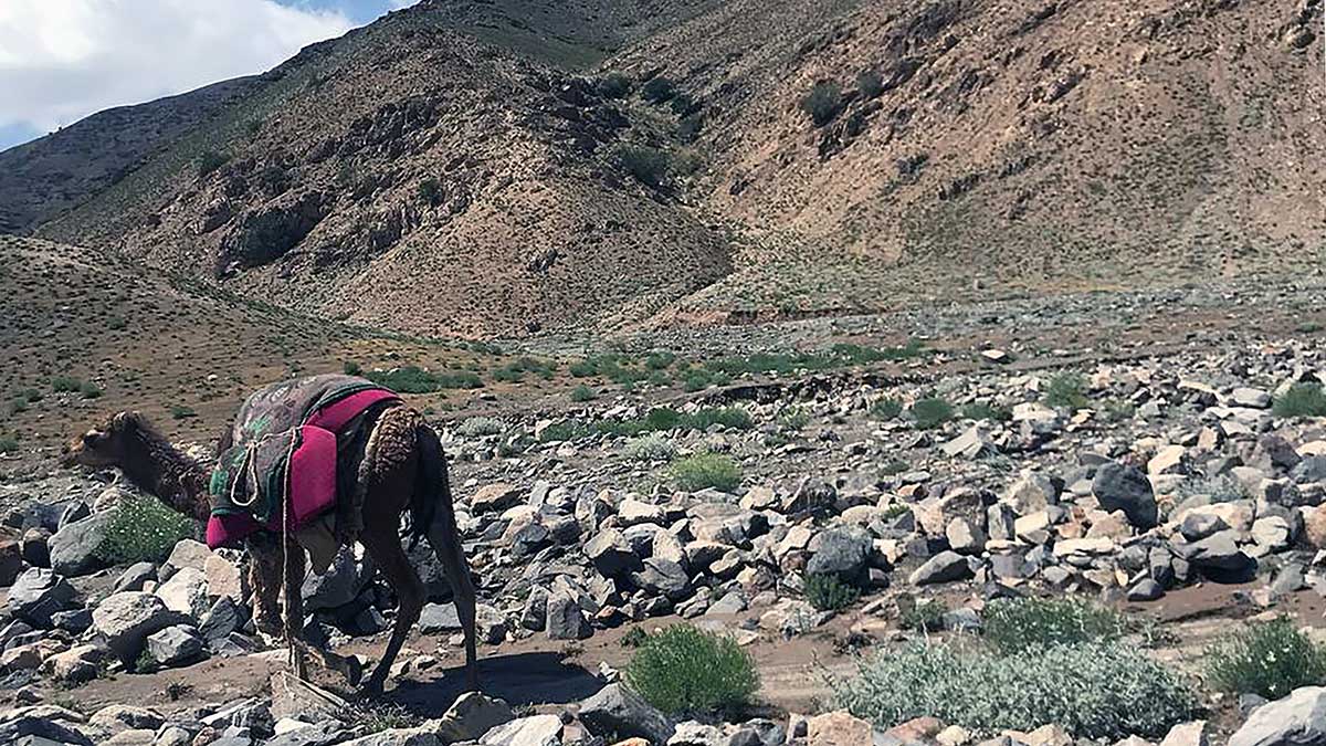 Reisebericht: Auf den Spuren von Cannabis in Afghanistan 2023