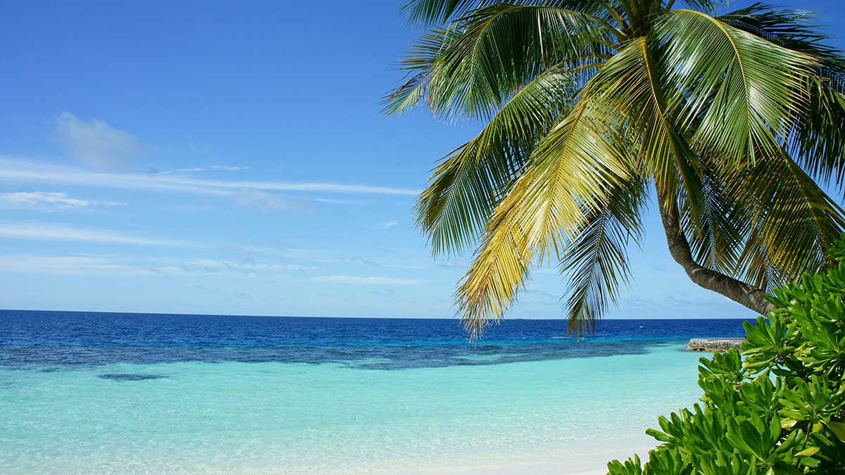 Karibik erleben – Entspannter Cannabis-Urlaub unter Palmen