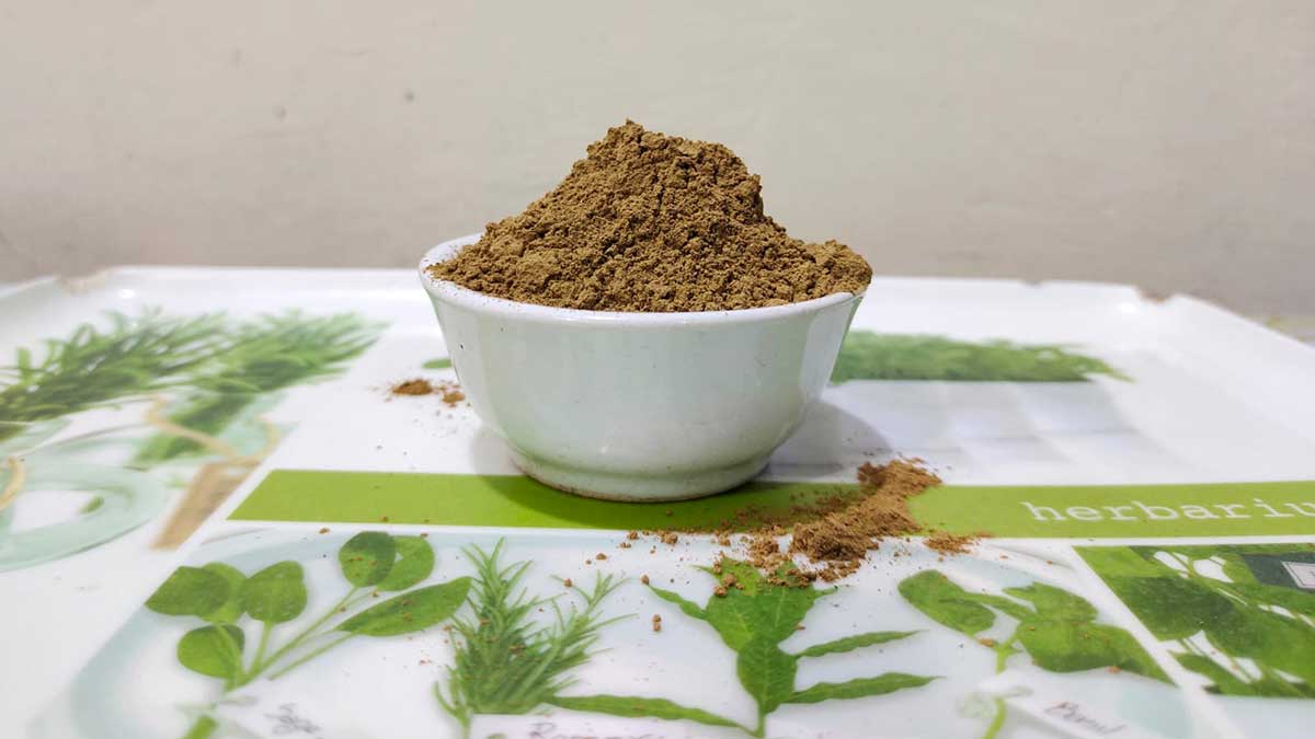 Kratom ein Heil- und Genussmittel