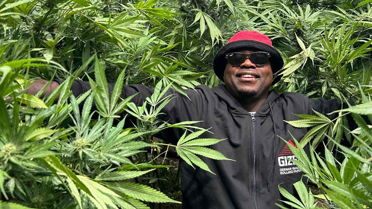 Der ultimative Cannabis-Guide für Kapstadt, Südafrika