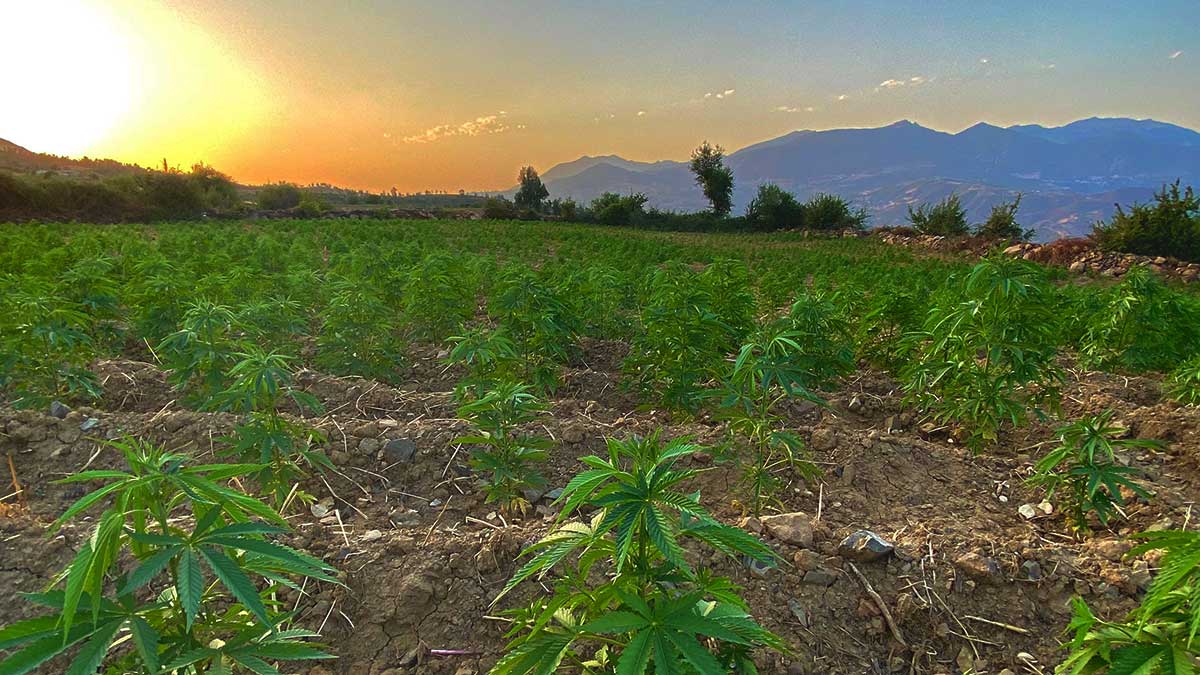 Cannabisfreundliche Unterkünfte in Marokko