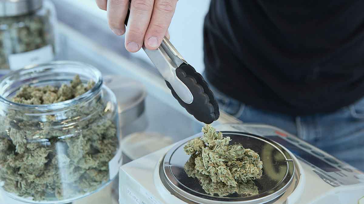 Medizinisches Cannabis jetzt in Griechenland legal erhältlich