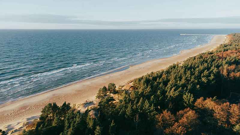 Palanga: Cannabisfreundlich an der Ostsee