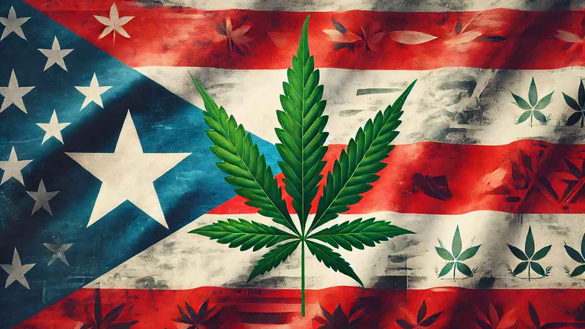 Cannabis in Puerto Rico: Legale Wege und wichtige Hinweise