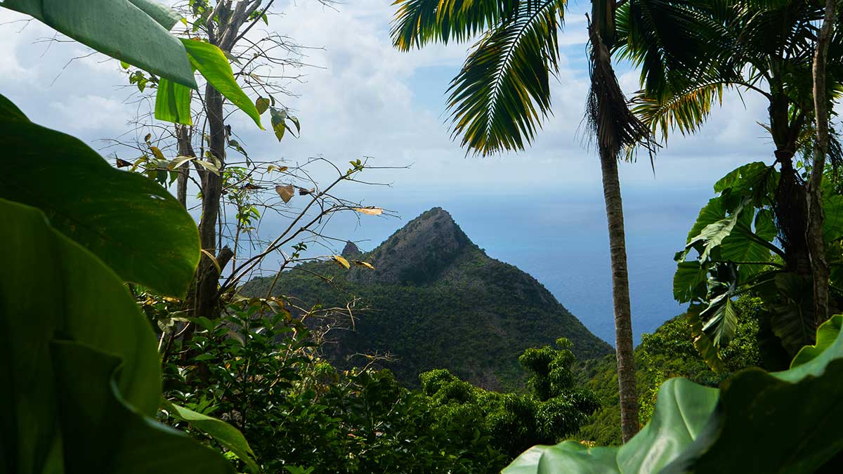 Saba Island – Geheimtipp für bewussten Cannabis-Urlaub